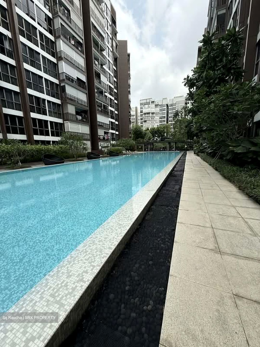 Bellewoods (D25), Condominium #579516381